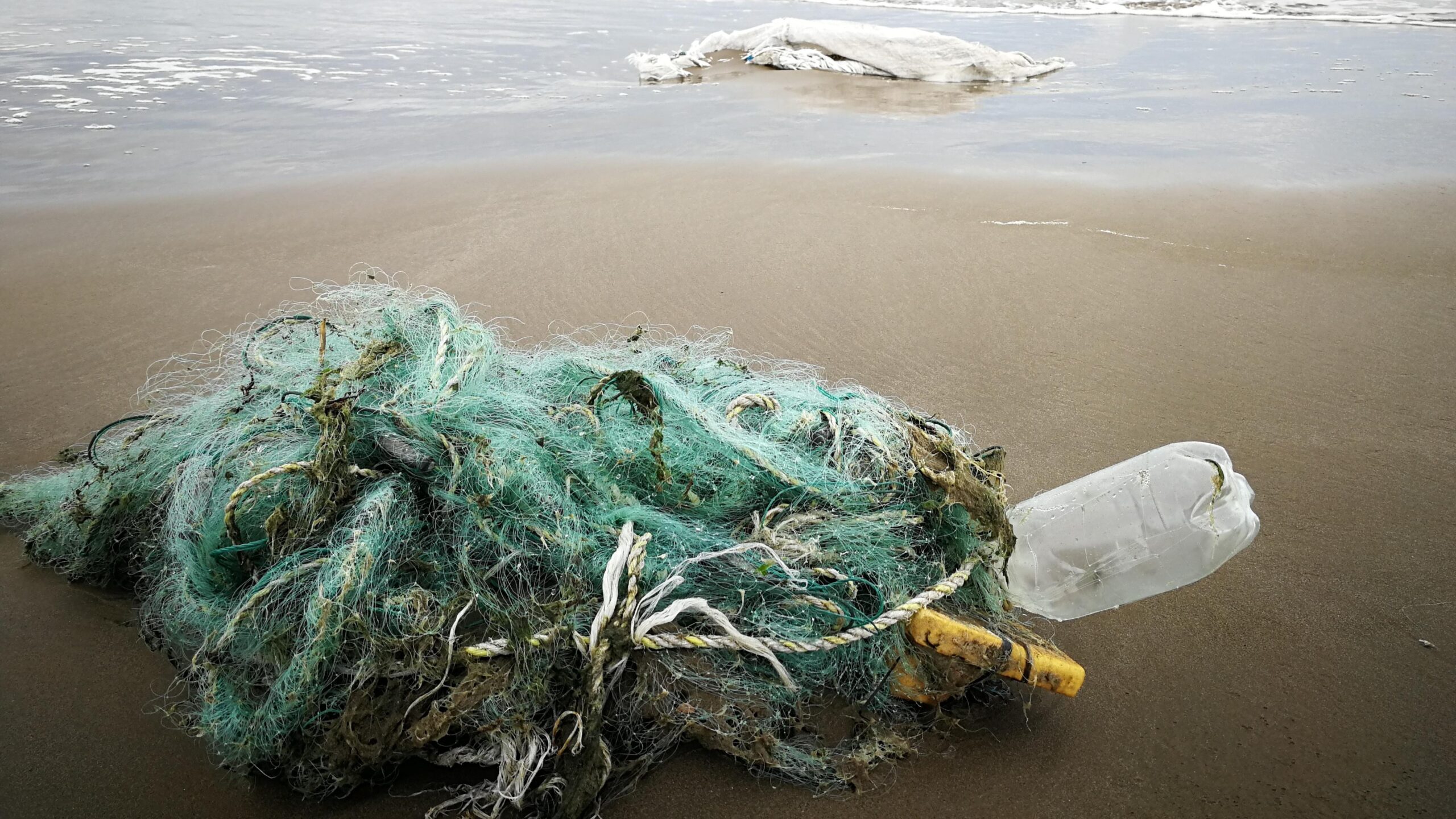 Legge Salvamare - Plastic Garbage
